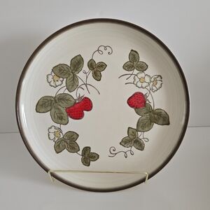 Set Of 6 Poppy Trail By Metlox California Strawberry 10.25" Dinner Plates